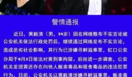 娱乐圈综艺小说吃瓜,吃瓜群众逆袭记