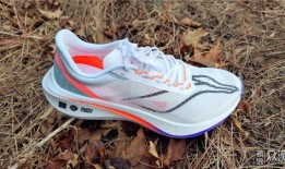 2024李宁飞电5e最新爆料,揭秘全新电竞鞋款的技术革新与设计亮点