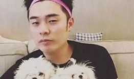 陈赫爆料宝强视频大全,揭秘娱乐圈背后的秘密