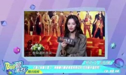 二驴姐姐爆料视频大全集,揭秘娱乐圈幕后真相