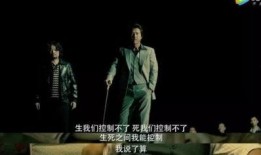 跛豪手机电影在线观看,传奇人生，手机观影之旅