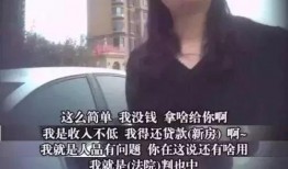 日本老赖爆料事件视频,债务危机下的社会众生相