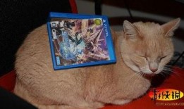 虎父犬子在线观看,传承与蜕变，家族荣耀的传承之路