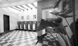 重庆卫生间爆料视频曝光,惊人内幕曝光