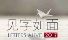 见字如面在线观看,穿越时空的温情对话