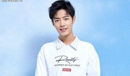 肖战郑爽最新爆料,娱乐圈风云再起，真相浮出水面