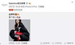 ss11最新载具爆料