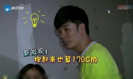 陈赫爆料宝强视频大全,揭秘娱乐圈背后的秘密