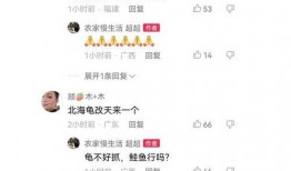 二八事件新爆料视频播放,揭秘背后惊人真相