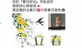 吃瓜日记第二集免费观看,揭秘娱乐圈幕后风云，免费观看大揭秘！