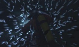 美国海怪最新爆料,美国海怪最新爆料揭秘深海奥秘