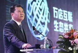 苏宁董事长爆料视频,企业转型与未来战略布局深度解析