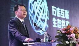 苏宁董事长爆料视频,企业转型与未来战略布局深度解析