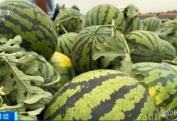 菏泽曹县网红吃瓜,揭秘网络红人的幕后生活