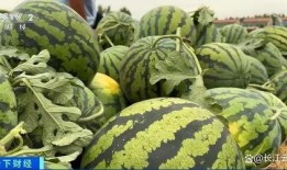 菏泽曹县网红吃瓜,揭秘网络红人的幕后生活