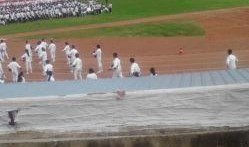 昆明体育馆爆料视频大全