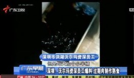 都市频道爆料全部视频,爆料视频全解析
