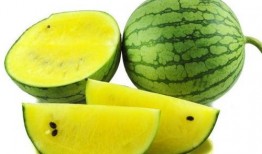 网红旅游吃瓜走红图片,揭秘美食背后的故事