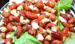 牛蛙名人爆料视频大全,名人爆料视频大全精彩回顾