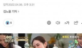 某网红爆料爱豆视频大全,爱豆视频大全，带你领略明星魅力瞬间