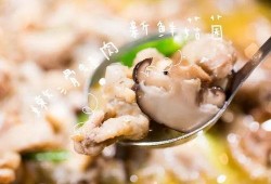 牛蛙名人爆料视频大全,名人爆料视频大全精彩回顾