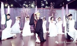 舞蹈神话视频在线观看,在线观看舞蹈艺术之美