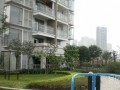重庆花园爆料视频最新版,惊人内幕大曝光