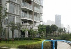 重庆花园爆料视频最新版,惊人内幕大曝光