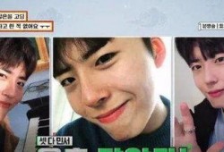 整形爆料视频大全下载,热门爆料视频大全下载解析