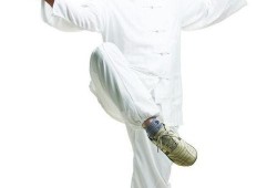 小太极在线观看,轻松入门，体验传统养生之道