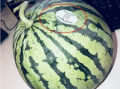 富县网红吃瓜,揭秘网络红人的幕后生活