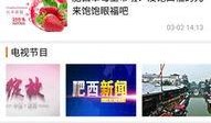 肥西女婿爆料新闻视频播放,揭秘背后惊人真相