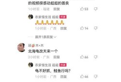 二八事件新爆料视频播放,揭秘背后惊人真相