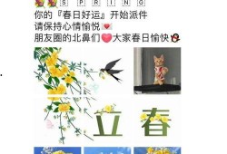 吃瓜日记第二集免费观看,揭秘娱乐圈幕后风云，免费观看大揭秘！