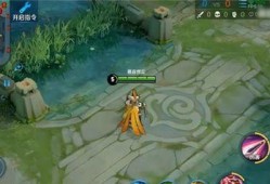 手游冠军皮肤爆料视频,揭秘爆料视频中的亮点与期待